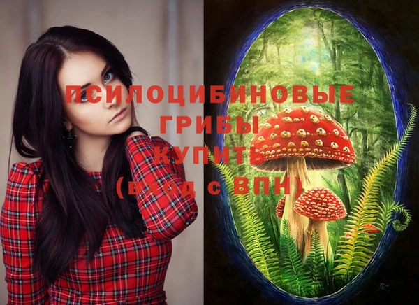 2c-b Белокуриха